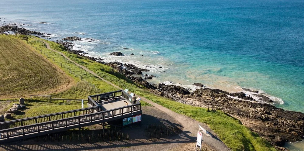 Victor Harbor whale road tour