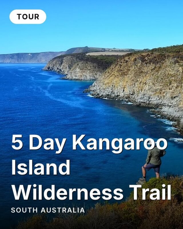 Five days of coastal walking across Kangaroo Island's western wilderness — just you and nine others, max.The Kangaroo Island Wilderness Trail covers 56 kilometres through banksia heath, pink gum woodland, and rugged sea cliffs. Trek Tours Australia handles the logistics so you carry only a day pack. Base camp is beachfront, and every meal is guide-prepared with South Australian produce.The trail threads through the island's landmarks: Remarkable Rocks, where 500-million-year-old granite has been sculpted by Southern Ocean wind. Admiral's Arch, with its colony of fur seals sprawled across the rocks below. A ranger-guided walk at Seal Bay puts you metres from wild Australian sea lions. And Kelly Hill Caves, explored underground with a park ranger.Discover this tour and 100+ others on monoloci.app.Monoloci also available on the App Store and Google Play.📍 Kangaroo Island, South Australia#visitsa #seesa #monoloci #kangarooisland #wildernesstrail