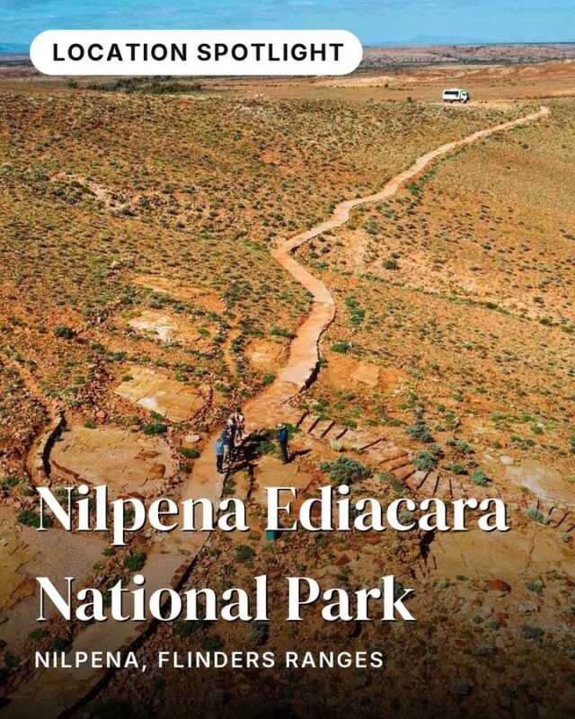 Half a billion years before the first dinosaur, soft-bodied creatures drifted across an ancient seafloor. Their imprints are still here — pressed into rock at one of the most significant fossil sites on the planet.Nilpena Ediacara National Park in the Flinders Ranges protects 550-million-year-old Ediacaran organisms — the oldest complex multicellular life ever found on Earth. Guided walks take you across exposed rock surfaces where the deep past is visible beneath your feet. The park opened in 2023 after decades of excavation, and visitor numbers stay deliberately low.📍 Nilpena, Flinders RangesFind it on the Flinders Ranges Magical Nature journey in monoloci.app:
https://monoloci.app/journey/flinders-ranges-magical-nature/node/nilpena-ediacara-national-parkMonoloci also available on the App Store and Google Play.Flinders Ranges - Natures Outback Paradise#visitsa #seesa #monoloci #flindersranges #southaustralia