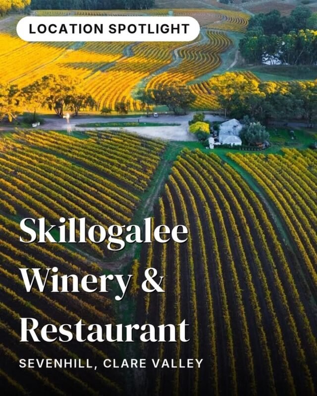A long lunch beneath old olive trees, a glass of estate Riesling catching the afternoon light. Skillogalee is that kind of place — the kind people come back to year after year.Family-owned since 1970, this Sevenhill estate sits on ancient soils near the heart of the Clare Valley. An 1851 stone cottage anchors the property, surrounded by vineyards, olive groves, and a kitchen garden where produce is picked daily for the restaurant. The wines are estate-grown and hand-tended — Riesling, Shiraz, and Cabernet that carry the particular character of the Skillogalee Creek sub-region. The restaurant matches its dishes to the season and whatever is growing right outside the kitchen door. Boutique accommodation on the property means you can settle in and stay a while.Find it on the Clare Valley Explorer journey in monoloci.app:
https://monoloci.app/journey/clare-valley-explorer/node/skillogalee-winery-restaurantMonoloci also available on the App Store and Google Play.📍 Sevenhill, Clare ValleySkillogalee Estate#visitsa #seesa #monoloci #clarevalley #cellardoor