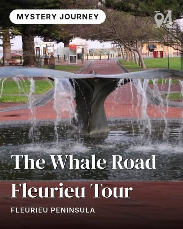 Imagine following a coastline where harpoons once split the silence — and discovering how that same shore became a place of wonder.The Whale Road traces a driving arc across the Southern Fleurieu that begins in the brutal whaling era and ends where Australia's greatest river meets the Southern Ocean. Eight stops peel back layers of history, wildlife, Indigenous connection, and coastline — each one reframing the landscape.The chapter names tell the story: The Hunt. The Station. The Crossing. The Wild Edge. The Harbour Table. The Quiet Shore. The Port. The Meeting of Waters. What connects them is for you to discover.🎧 Includes audio narration guiding you between stops.Find it on monoloci.app:
https://monoloci.app/journey/the-whale-road-fleurieu-tourMonoloci also available on the App Store and Google Play.📍 Fleurieu Peninsula#visitsa #seesa #monoloci #fleurieupeninsula #mysteryjourney