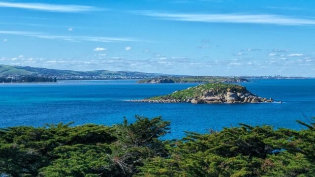 Views you can to expect to see along The Whale Road Fleurieu Mystery Tour. Travel from Victor Harbor to finish in Goolwa. Each stop is revealed as you go with audio narration along the way.
Journey link in comments :)